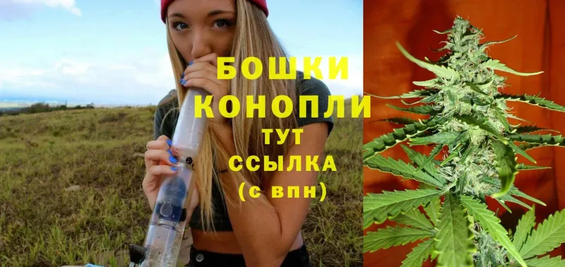 Конопля OG Kush  цена   Майкоп 